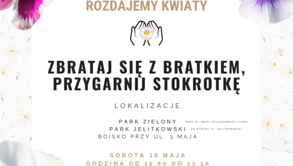 Bratki i stokrotki z miejskich kwietników do odbioru w sobotę 18 maja 2019 r. na Aniołkach