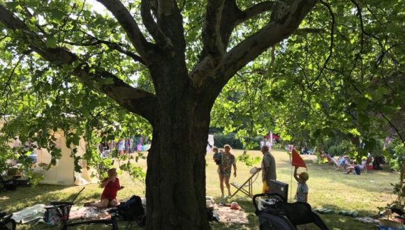 Festiwal Parkowisko – tak się bawiliśmy w Parku Steffenśow