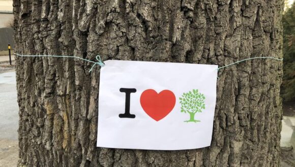 14 lutego 2023 – Walentynki dla drzew