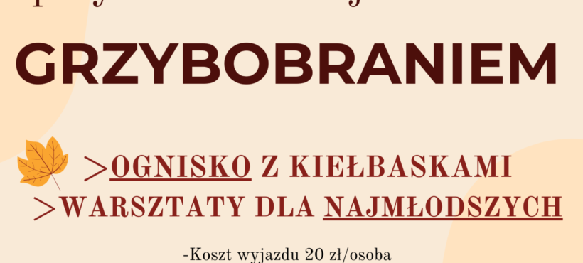 Kociewie zaprasza – rodzinna wycieczka z grzybobraniem