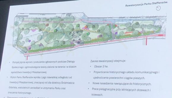 Inwestycje towarzyszące na Aniołkach w ramach Zabudowy centrum Młodego Miasta