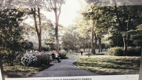 Ankieta na temat inwestycji towarzyszących – Park Steffensów