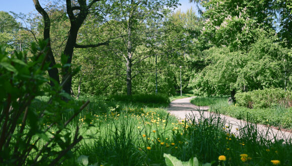 Park Steffensów w rejestrze zabytków