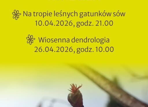 Spacer przyrodniczy po Aniołkach 26.04.2026 r.