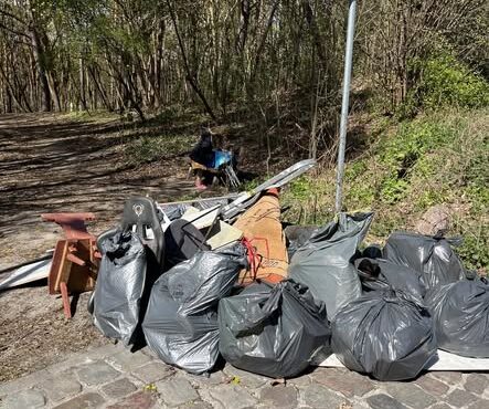 Sprzątanie Świata na Aniołkach – podsumowanie