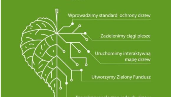 Konsultacje projektu Gdańskiej Karty dla Drzew