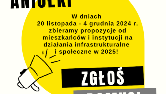 Konsultacje projektu budżetu Dzielnicy Aniołki na rok 2025 – I ETAP 20.11-4.12.2024