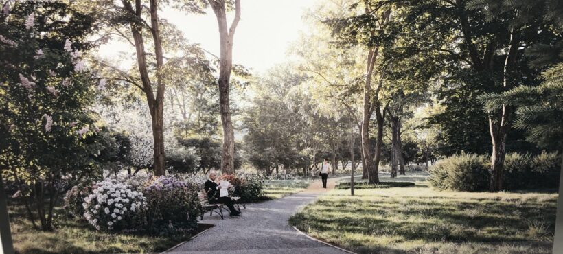 Ankieta na temat inwestycji towarzyszących – Park Steffensów