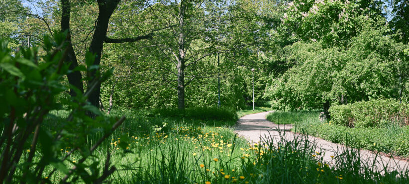 Park Steffensów w rejestrze zabytków